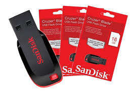 SanDisk Cruzer Blade 16GB Flash Drive (TWIN PACK 2 X 16GB)