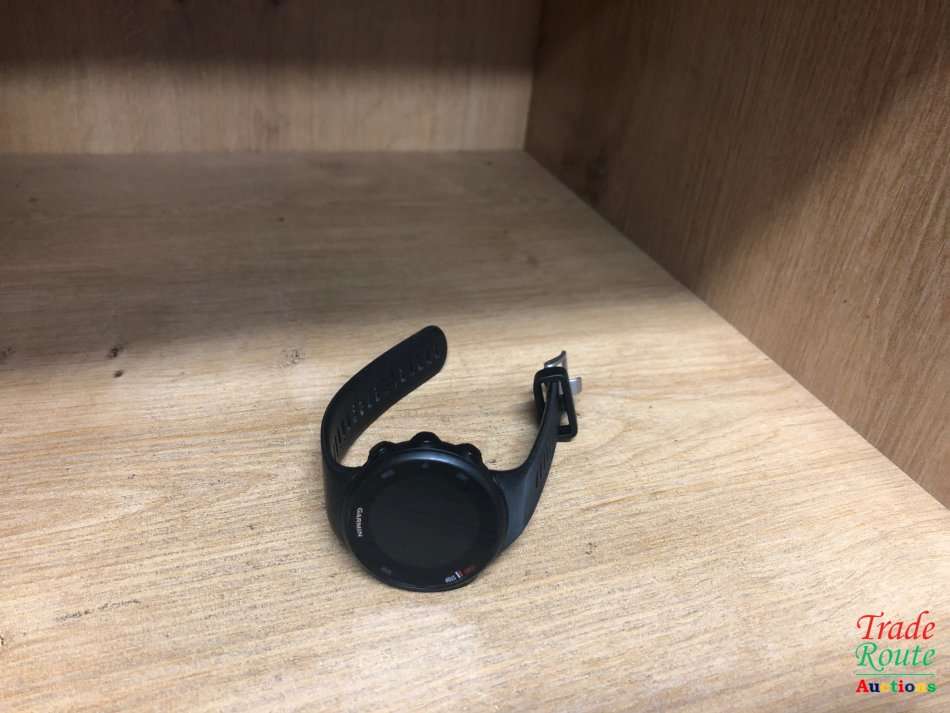 Garmin Forerunner 45 Watch