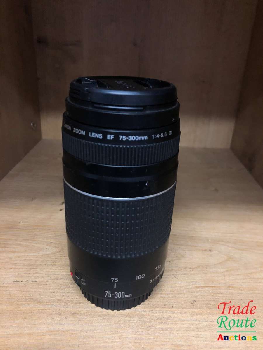 Canon EF 75-300mm 4-5.6 Mark iii USM Telephoto Zoom Lens