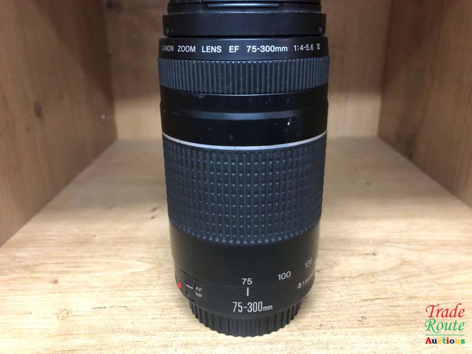 Canon EF 75-300mm 4-5.6 Mark iii USM Telephoto Zoom Lens