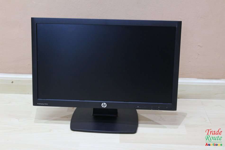 HP ProDisplay P202 20" LED Monitor