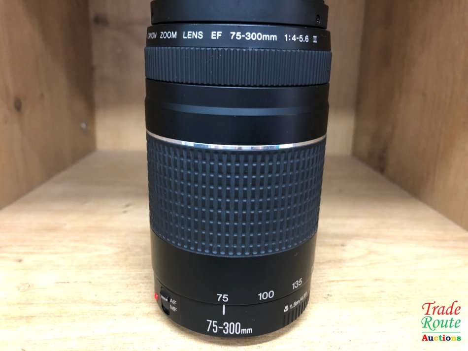 Canon EF 75-300mm 4-5.6 Mark iii Telephoto Zoom Lens for 600D, 650D, 700D, 750D 1200D 1300D Etc