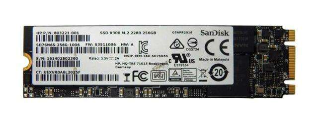 SanDisk X300 M.2 2280 256GB Solid State Drive