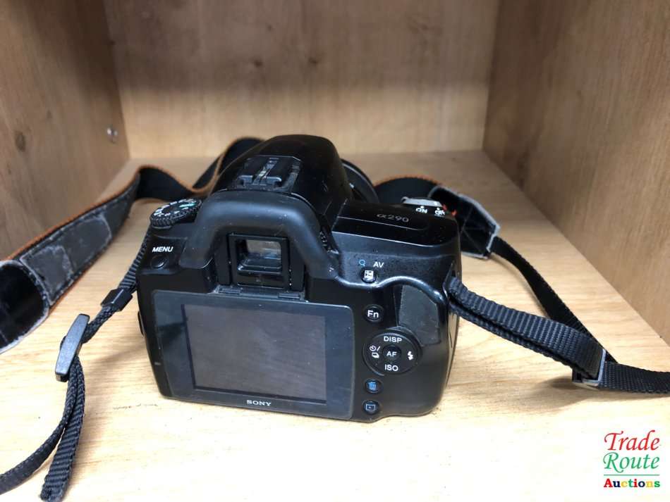 Sony Alpha A290 Digital SLR with 18-55mm Lens