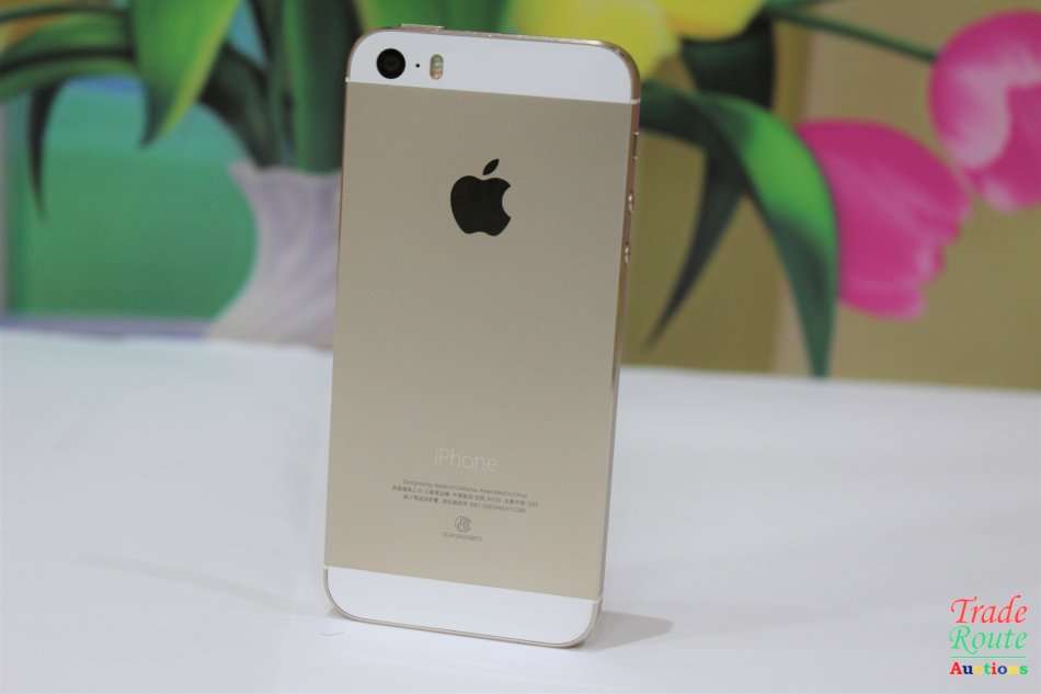 Apple Iphone 5S  16GB SmartPhone A1530 *** APPLE IPHONE5s ***