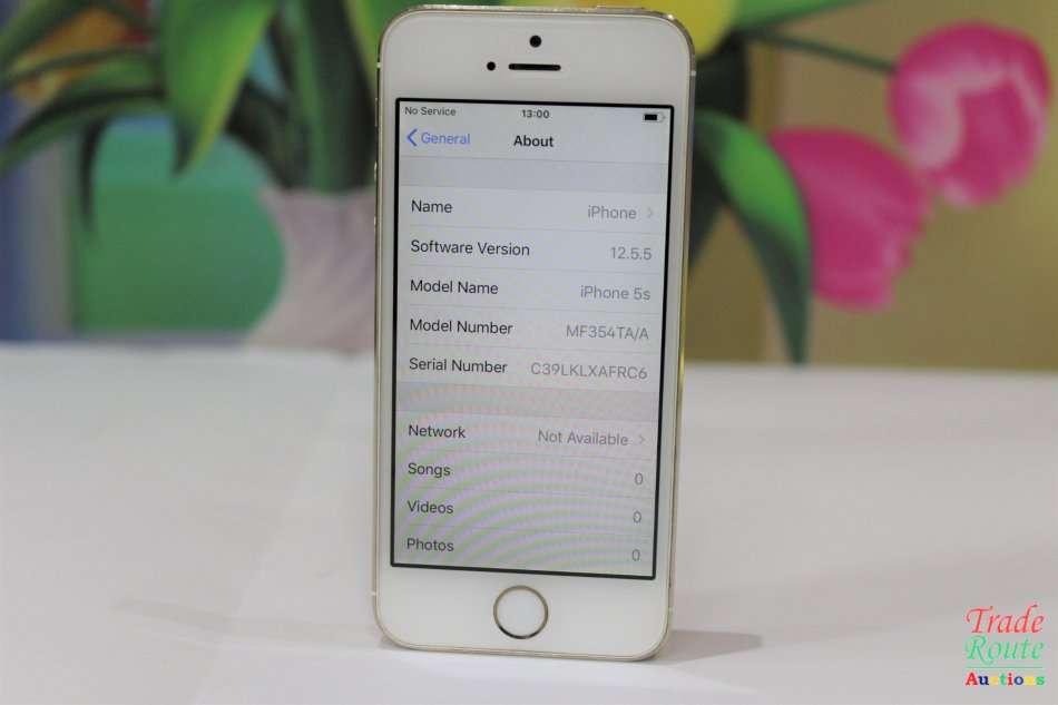 Apple Iphone 5S  16GB SmartPhone A1530 *** APPLE IPHONE5s ***