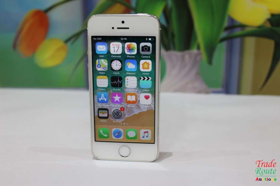 Apple Iphone 5S  16GB SmartPhone