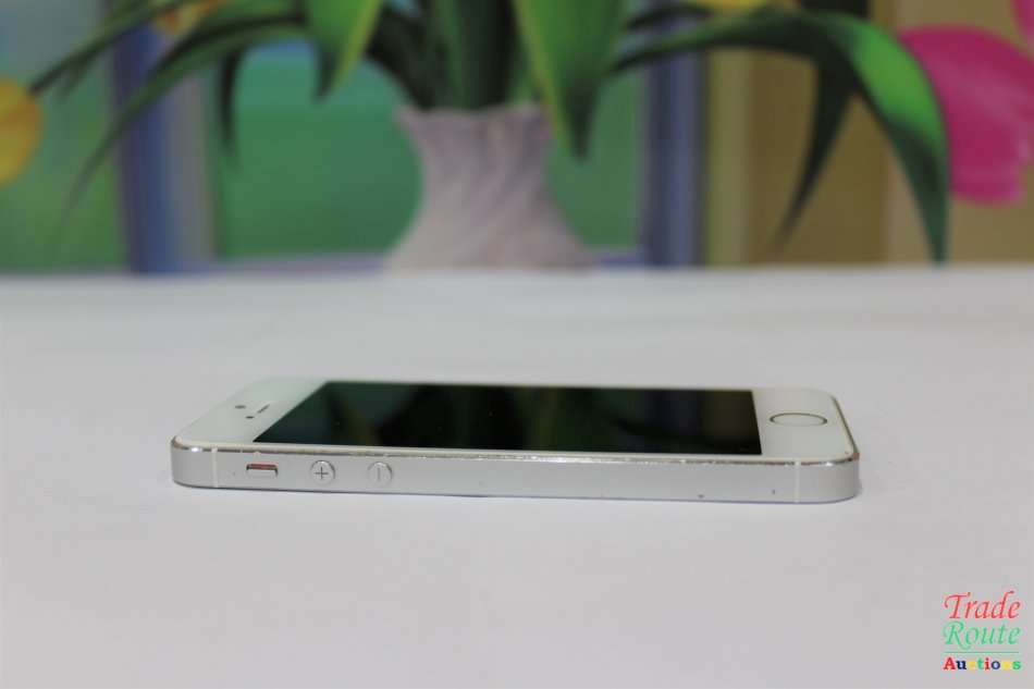 Apple Iphone 5S  16GB SmartPhone