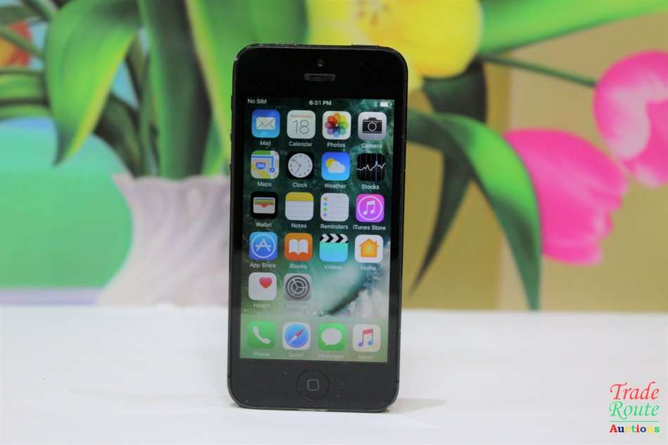 APPLE IPHONE 5 -  A1429 -16 GB Smart Phone  ** DISPLAY SMOKEY **