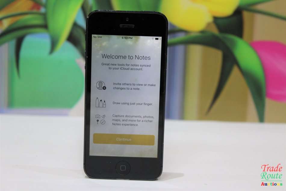 APPLE IPHONE 5 -  A1429 -16 GB Smart Phone  ** DISPLAY SMOKEY **