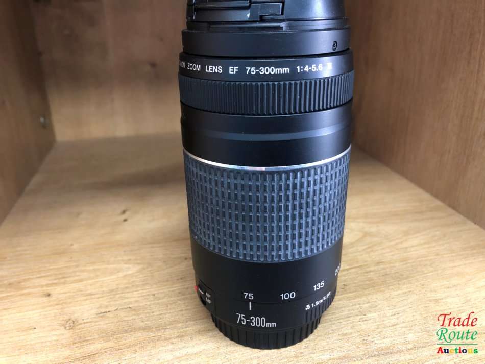 Canon EF 75-300mm 4-5.6 Mark iii Telephoto Zoom Lens for 600D, 650D, 700D, 750D 1200D 1300D Etc