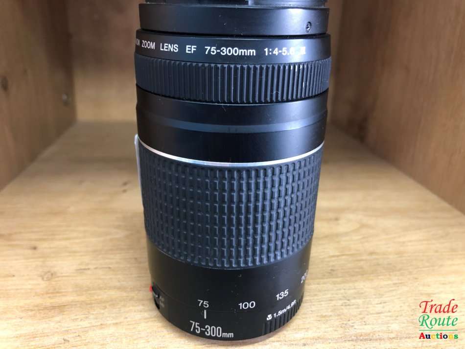 Canon EF 75-300mm 4-5.6 Mark iii Telephoto Zoom Lens for 600D, 650D, 700D, 750D 1200D 1300D Etc