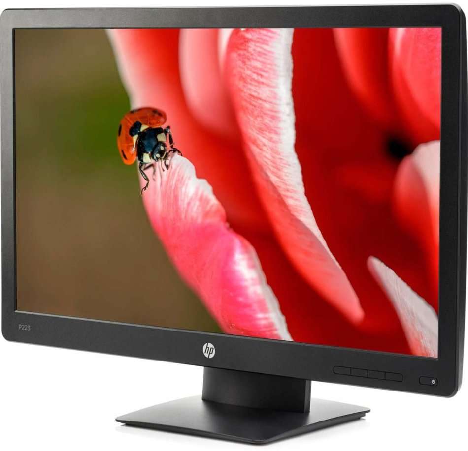 HP ProDisplay P223 21.5-inch Monitor - 1920 x 1080 Pixels
