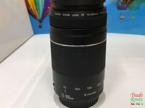 Canon EF 75-300mm 4-5.6 Mark iii Telephoto Zoom Lens for 600D, 650D, 700D, 750D 1200D 1300D Etc