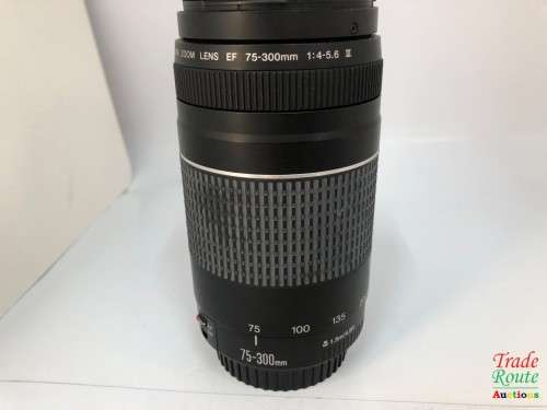 Canon EF 75-300mm 4-5.6 Mark iii Telephoto Zoom Lens for 600D, 650D, 700D, 750D 1200D 1300D Etc