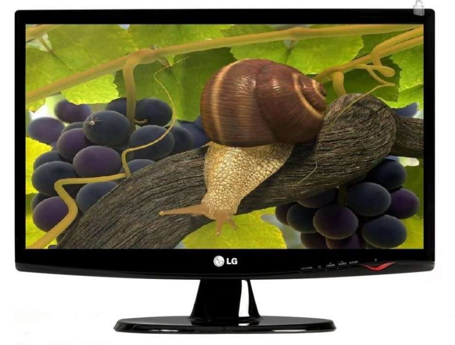 LG Flatron 22 inch Widescreen LCD Monitor