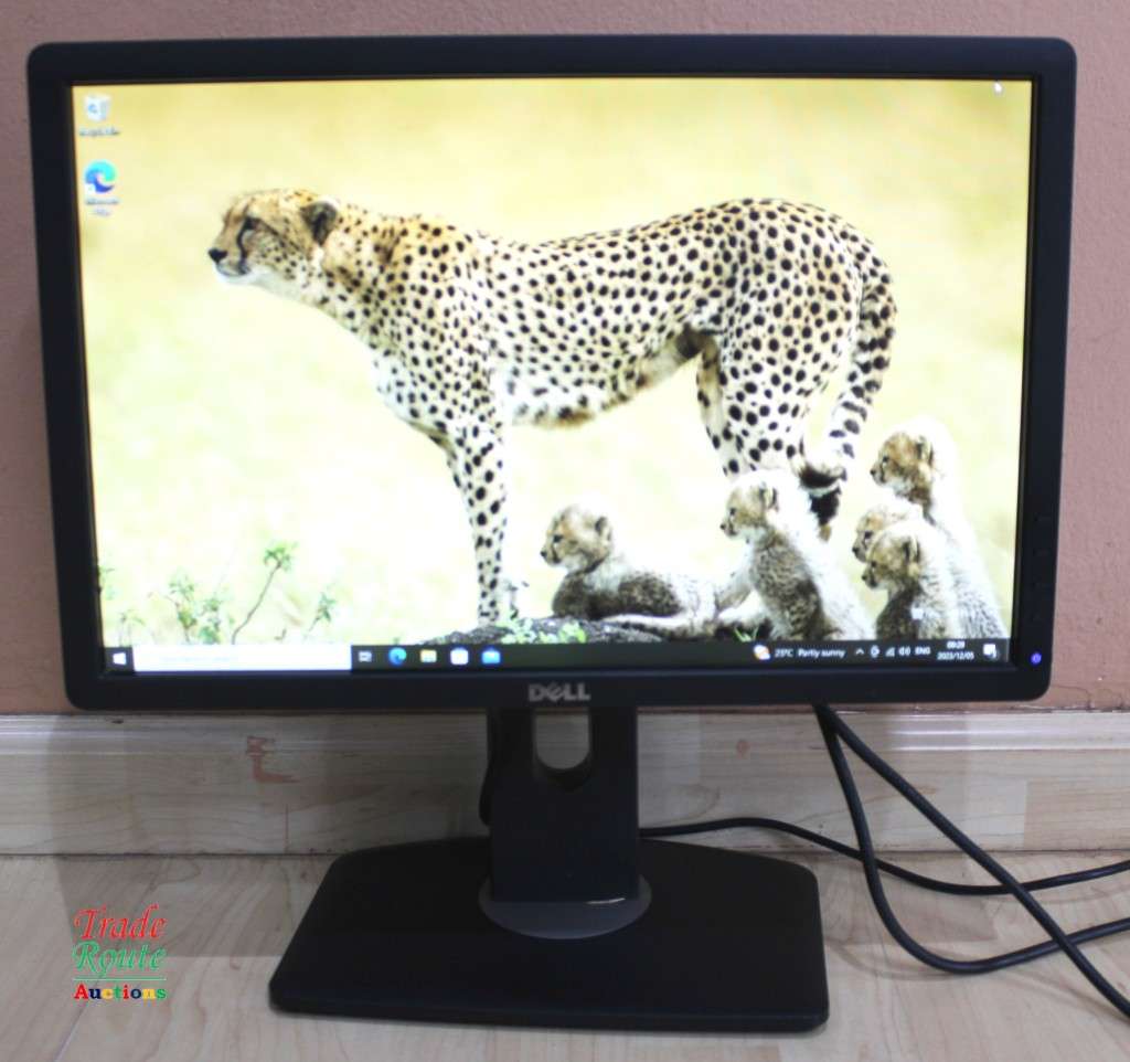 Dell Wide Screen 19 inch Desktop Computer Tower Monitor (VGA, Display, DVI Ports)