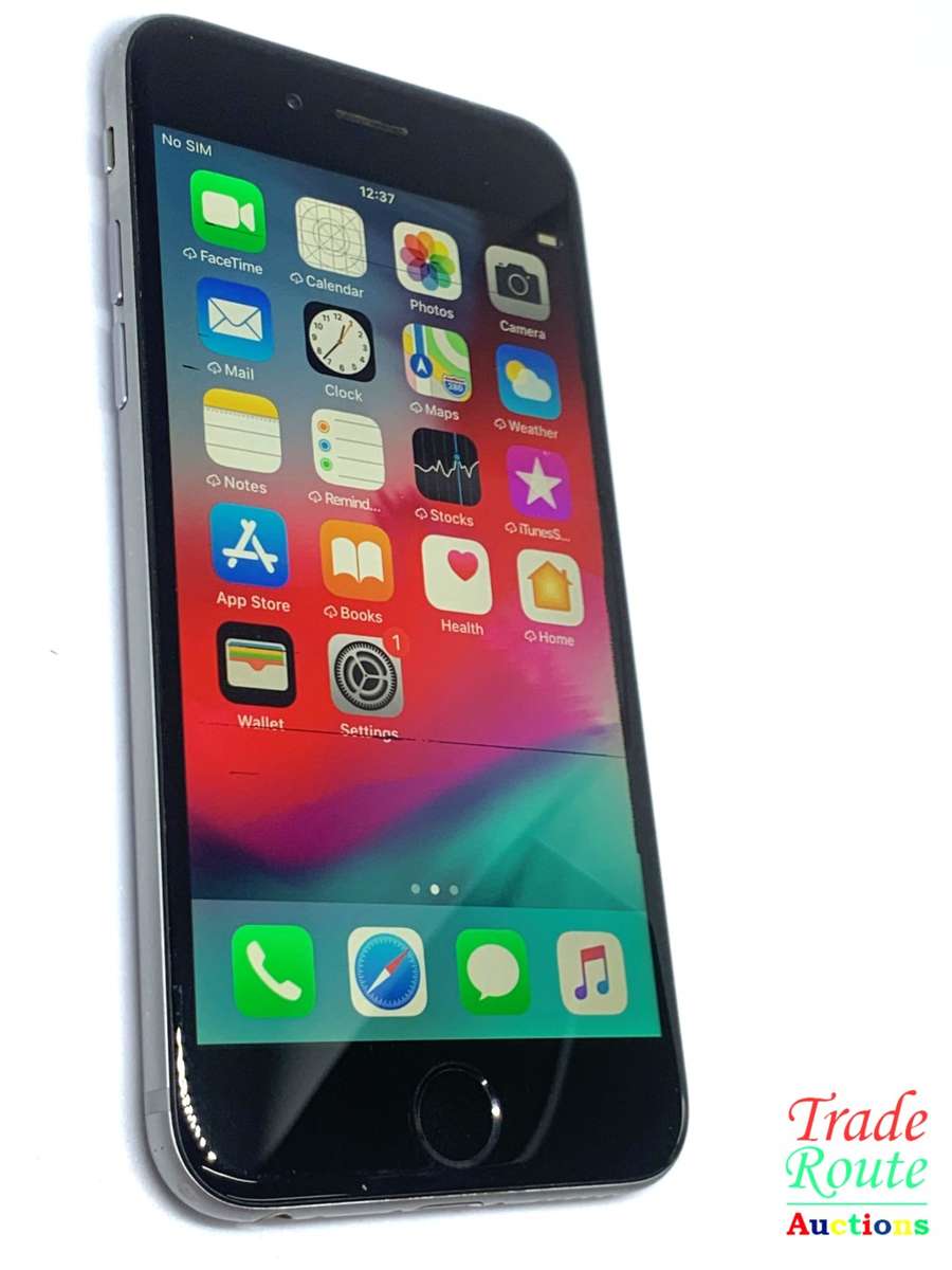 Apple iPhone 6 Space Grey (Pre Owned) SmartPhone (Marks & Lines on Screen)