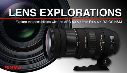 SIGMA 50-500mm F4.5-6.3 APO OPTICAL STABILIZER DG HSM - Telephoto Zoom Lens - for CANON DSLR Cameras