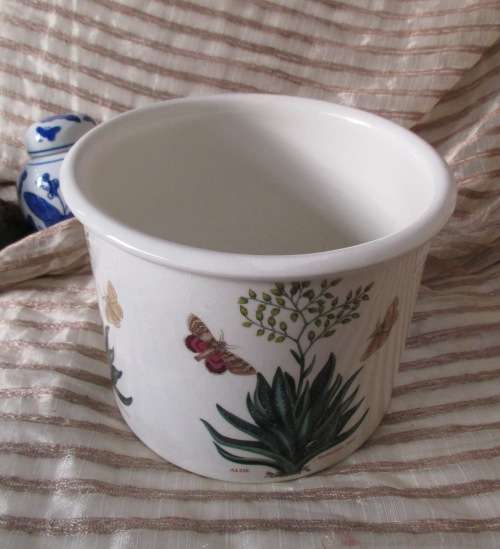 PORTMEIRON  PLANT HOLDER