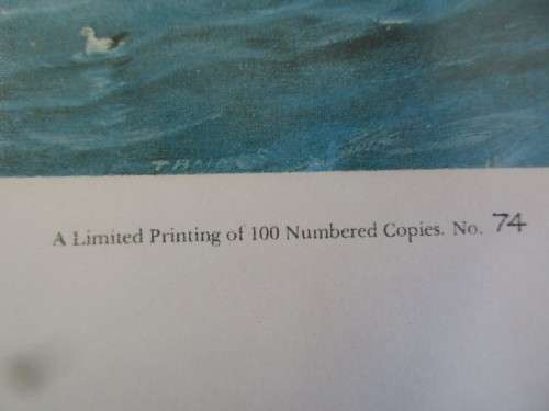 BEAUTIFUL PRINT OF HMS EURYLUS TABLE BAY 19TH OF SEPTEMBER 1860