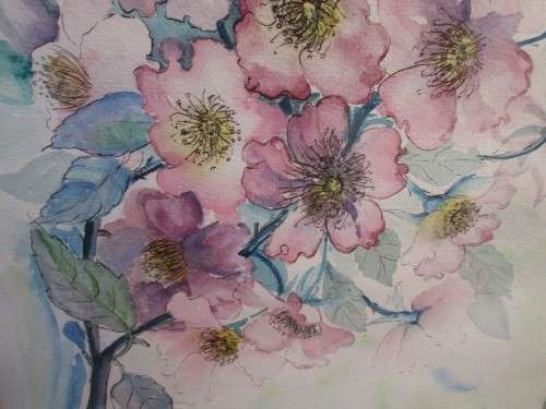 BEAUTIFUL WATERCOLOUR COSMOS