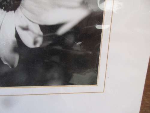 BEAUTIFUL PHOTO OF A CLOSE UP FLOWER  BLACK AND WHITE