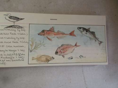 A FISHING DIARY COMPILED AND ILLUSTRATED BY MURIEL FOSTER 1913-1949