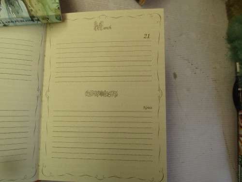 CHERUBS JOURNAL  2 VOLUMES IN SLIP CASE