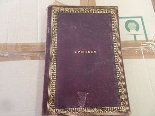 THE RIGHT HON BENJAMIN DISRAELI EARL OF BEACONSFIELD KG AND HIS TIMES 1882