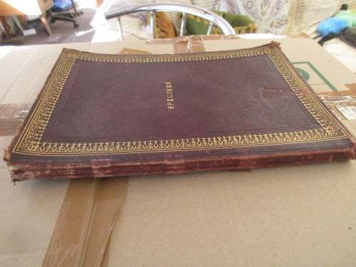 THE RIGHT HON BENJAMIN DISRAELI EARL OF BEACONSFIELD KG AND HIS TIMES 1882
