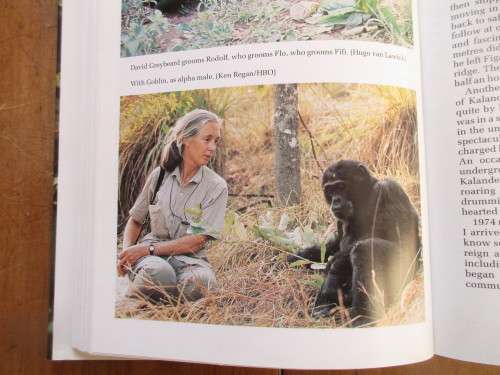 THROUGH A WINDOW JANE GOODALL FIRST EDITION 1990