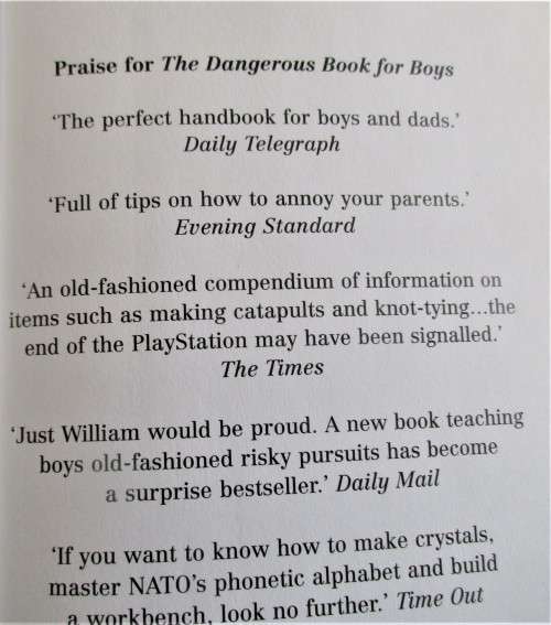 THE POCKET DANGEROUS BOOK FOR BOYS THINGS TO DO 2007 FIRST EDITION  HARPER COLLINS