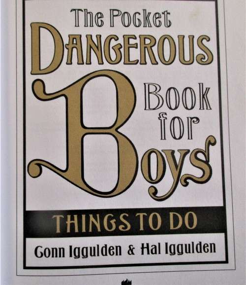 THE POCKET DANGEROUS BOOK FOR BOYS THINGS TO DO 2007 FIRST EDITION  HARPER COLLINS