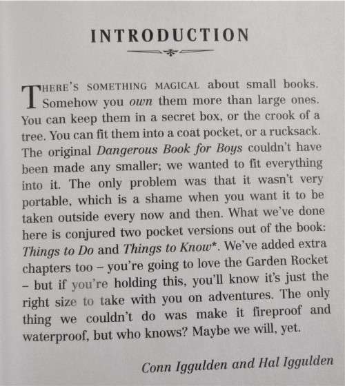 THE POCKET DANGEROUS BOOK FOR BOYS THINGS TO DO 2007 FIRST EDITION  HARPER COLLINS