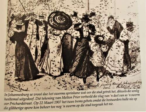 JOHANNESBURG EEN HONDERD JAAR