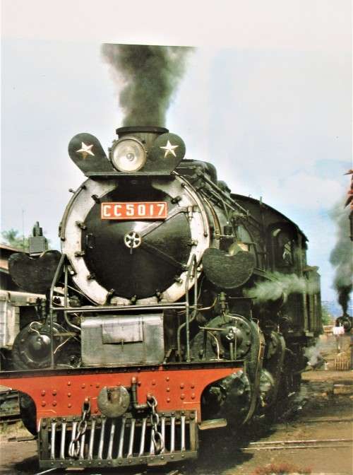 THE WONDERFUL WORLD OF STEAM LOCOMOTIVES 1981