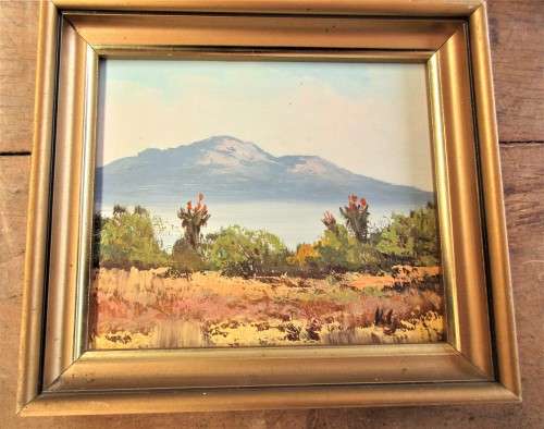 PAIR BEAUTIFUL OIL  ON BOARD  SCENES LOOKS LIKE EASTERN CAPE