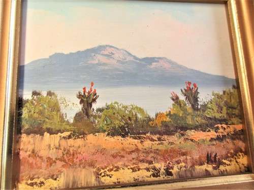 PAIR BEAUTIFUL OIL  ON BOARD  SCENES LOOKS LIKE EASTERN CAPE
