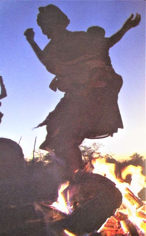 BUSHCRAFT RAY MEARS FIRST EDITION 2002