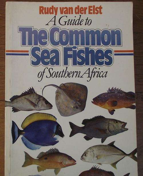 A GUIDE TO THE COMMON SEA FISHES OF SOUTHERN AFRICA