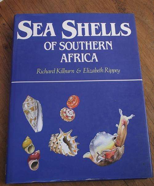 SEA SHELLS OF SOUTHERN AFRICA