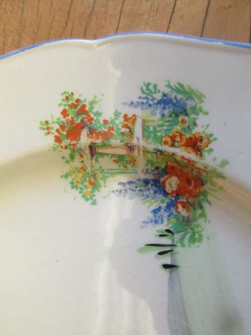 BEAUTIFUL ROYAL FALCON WARE (HANLEY) HANDPAINTED PLATE C 1930`S