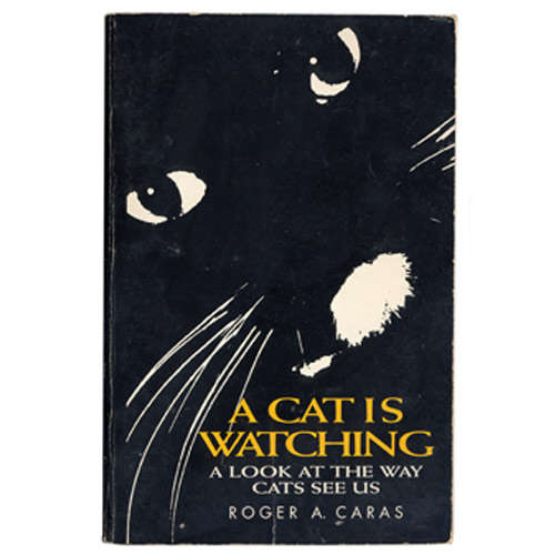 A CAT IS WATCHING : A LOOK AT THE WAY CATS SEE US