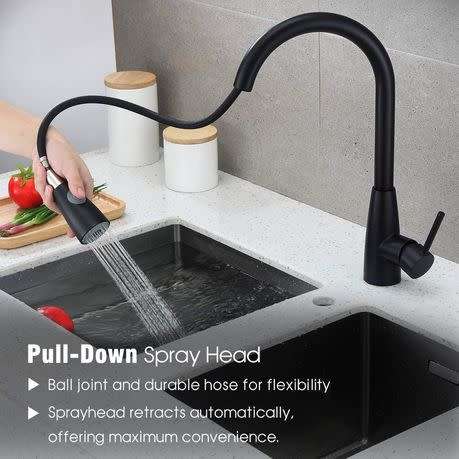 Pro-Techt Pull Down Kitchen Mixer Tap Matte Black Faucet