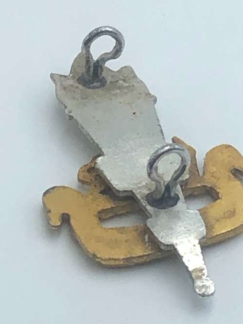 RHODESIAN EDUCATIONAL CORPS CAP BADGE