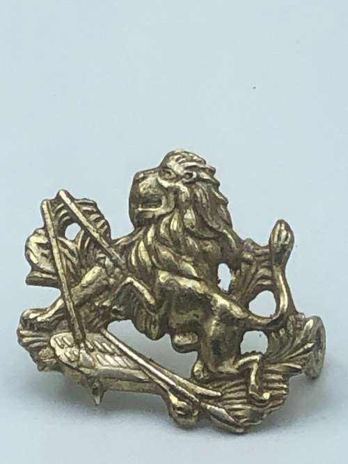 RHODESIAN BSAP BADGE
