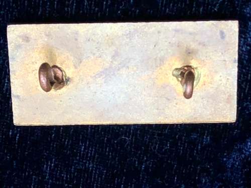 SOUTH AFRICAN RAILWAYS MESSENGER/BODE BADGE