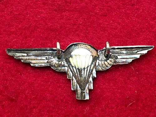 W17) ZIMBABWE ARMY PARACHUTE WINGS