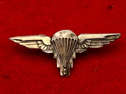 W17) ZIMBABWE ARMY PARACHUTE WINGS